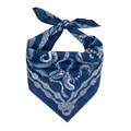 FInal Sale-Nautilus Bandana