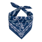 FInal Sale-Nautilus Bandana