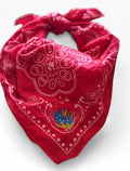Final Sale-Blue bonnet embroidered red bandana